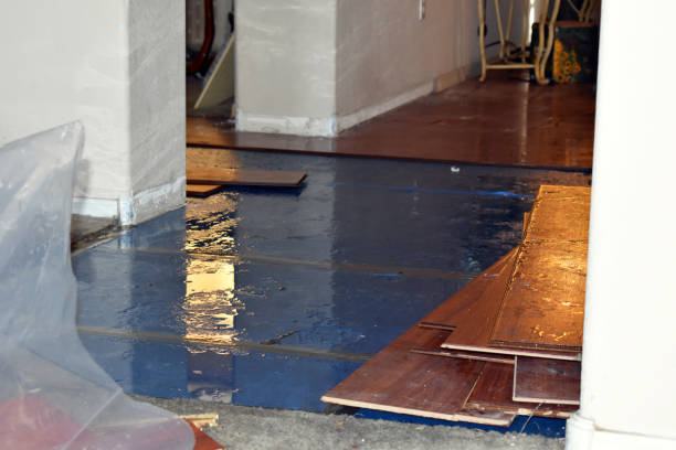 Professional Burst Pipe Cleanup technician working in Woodway, WA